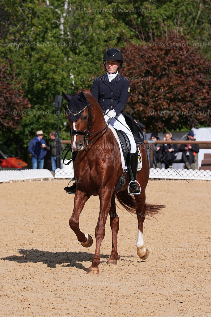 09_2-223-DRESSUR  S_  -Marixx-5947 | working equitationturnier fotograf videograf stoibphotography marixx film working equitation deutschland reitsport turnierfotografie eventfotografie equestrian events