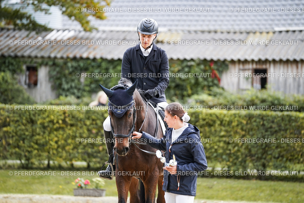 DSC05014 | Pferdegrafie