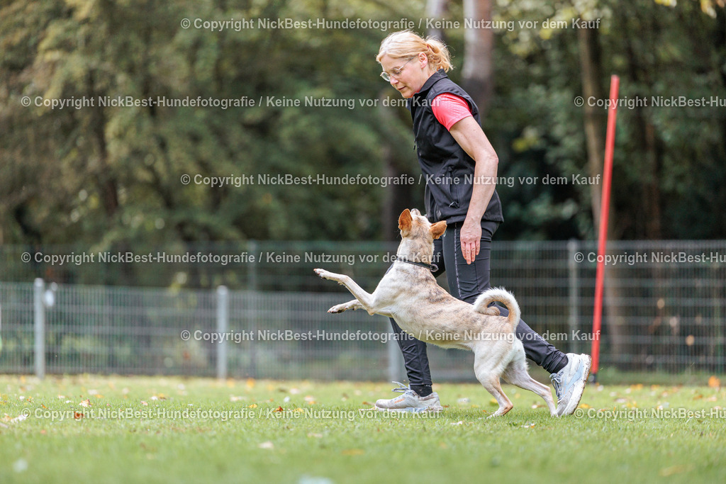THS-HSV-Blumenthal-2026-Nickbest-Hundefotografie-1921 | Dein Hund! Dein Moment! Deine Erinnerungen! Hundefotografie in Bremen Blumenthal. Ich fange die besonderen Momente deines Vierbeiners ein – ob Indoor mit Blitzanlage oder in der freien Natur. Sicher dir dein Moment und dein Termin für eure Erinnerungen.