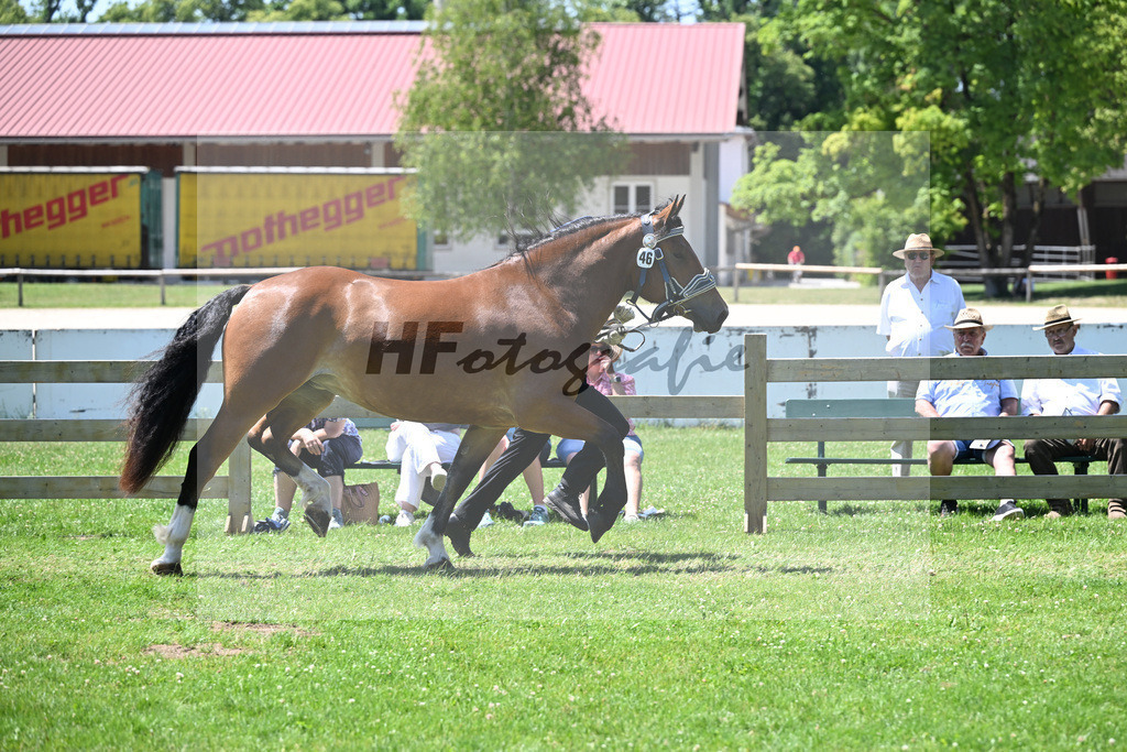 Kat-Nr. 46 Nicola v. Rupertiwinkel_HLG Schwaiganger_18250842 | hf-fotografie - Realizzato con Pictrs.com