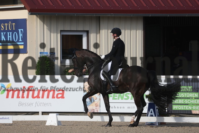 Birkhof_2024_Prfg.Nr.17_Intermediare II_Paul Löcher_Soul Men  (18) | Alle Fotos der Reiterjournal Fotografin Doris Matthaes im Reiterjournal Online-Fotoshop. - Realisiert mit Pictrs.com
