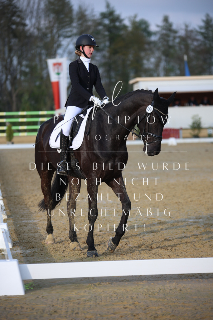 IMGT8900 | pl-fotografie