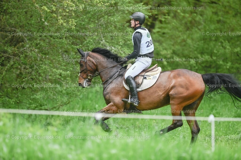 20230513_CCI2_Section2_Gelände_0023 | equistock