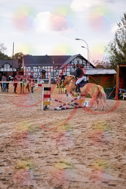 2026_10_03_Siefer-Hof_145325_Z81_33235400 | Professionelle Reitsport-, Turnier- und Eventfotografie von Robert Broda. Galerien mit ausgewählten und bearbeiteten Bildern direkt online ansehen und bestellen.