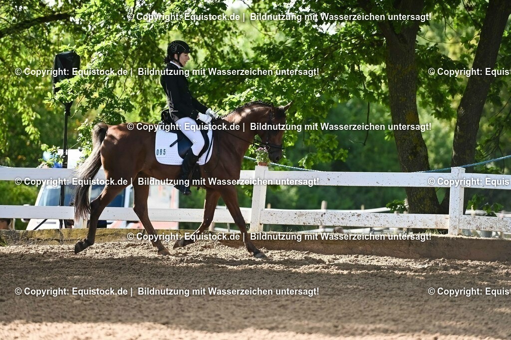 20230716_04_Dressurreiterprüfung Kl.A_0169 | equistock