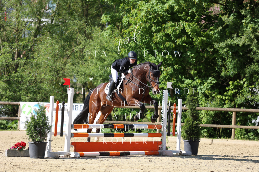 IMGS4954 | pl-fotografie