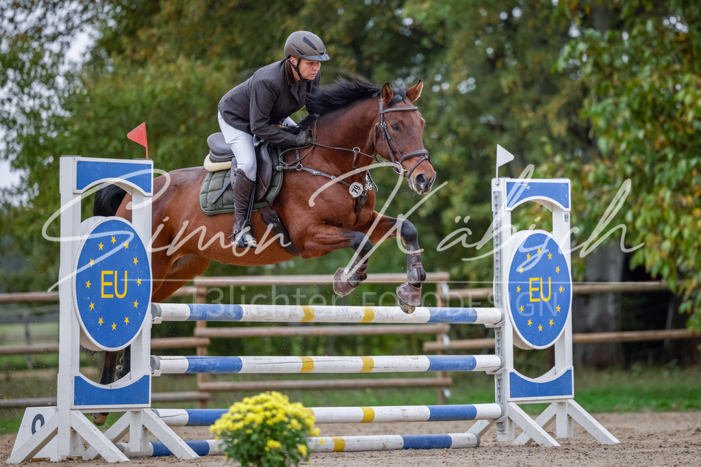 20251012-_3LI4463 | Tierfotografie Pferde, Hunde, Katzen, Haustiere.
Turnierfotografie Reitturniere, Reiten, Springreiten, Dressur in Hanau, dem Main-Kinzig-Kreis und dem Rhein-Main- Gebiet um Frankfurt