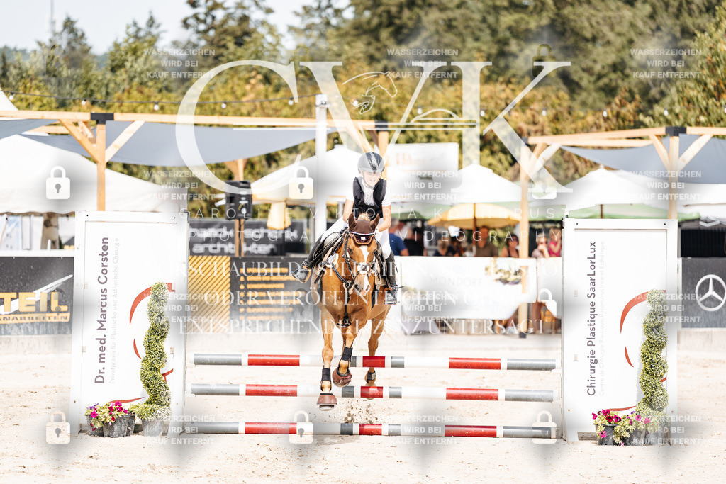 CK906317 | Turnierfotografie Pferdefotografie Trier Rheinland-Pfalz Pferdesport Reitsport Tierfotografie Sportfotografie Pferdevideo Pferdevideografie Equestrianvideography equestrianphotography  - Realisiert mit Pictrs.com