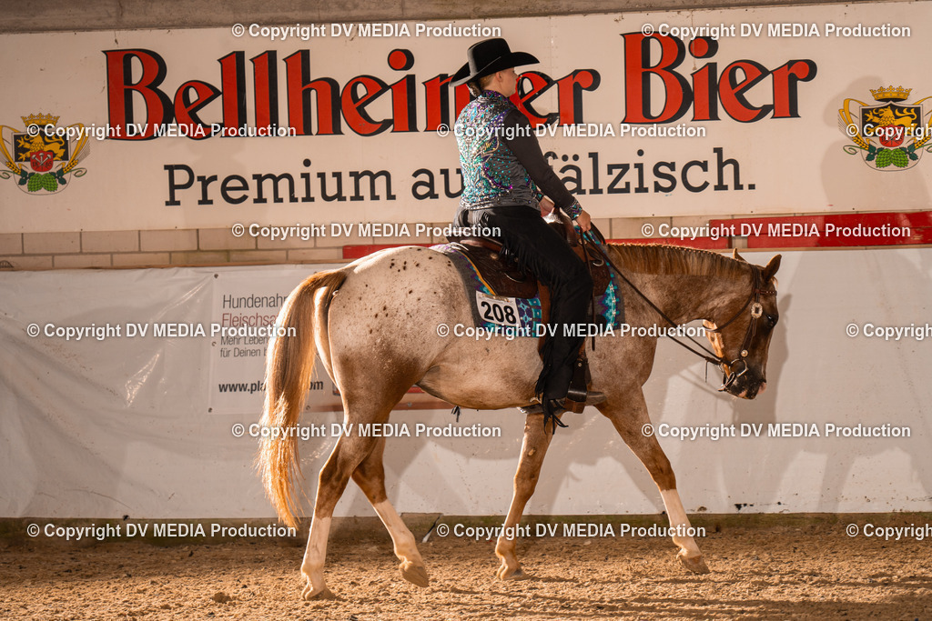 ZH200138 | dv-media-shop - Realisiert mit Pictrs.com