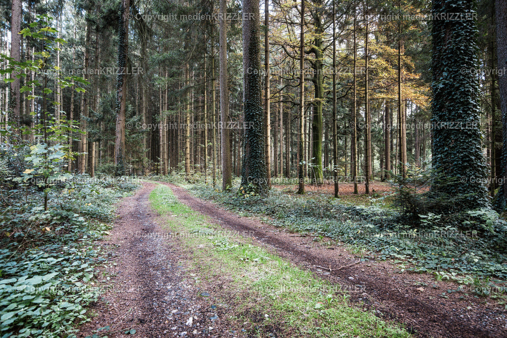 _J3A8952 | medienkrizzler - Realisiert mit Pictrs.com