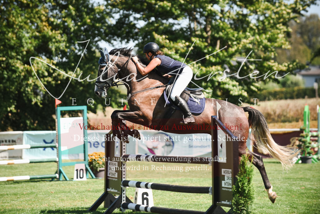 DSC_2888 | Pferde- und Turnierfotografie in Westsachsen. Pferdeportraits, Auftragszeichnungen und intuitive Kunst.