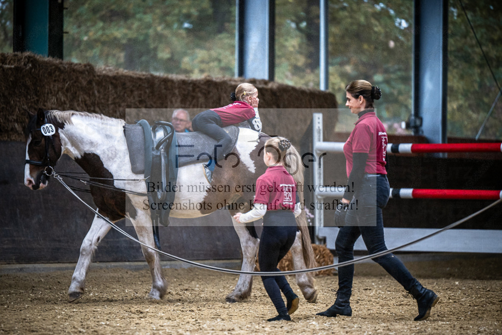DOS_0264 | Entdecke hochwertige Reitturnierfotos von Foto Oger. Professionell, emotional und authentisch – jetzt Lieblingsmomente im Shop bestellen.Deutschlandweite Turnierfotografie. - Realisiert mit Pictrs.com