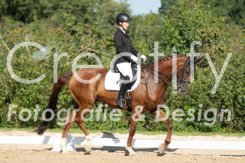 IMG_0612 | Creatify Fotografie