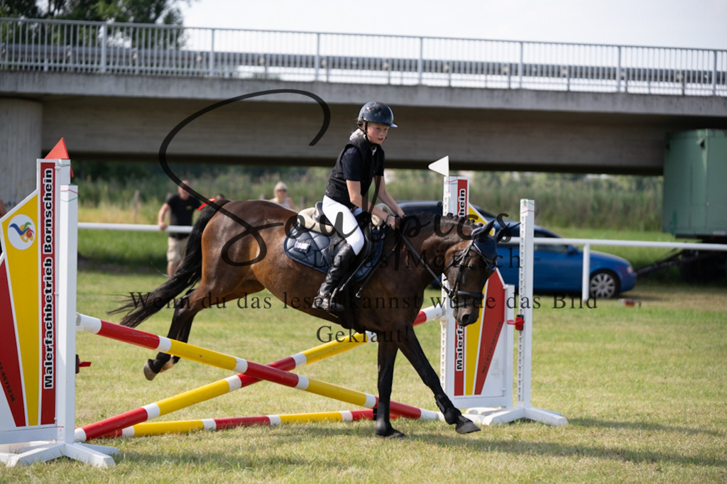 A7V00555 2 | Turnier/Reitfotograf