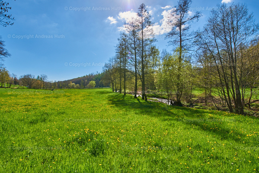 Im Triebischtal bei Neutanneberg 08 | Bedeutsame Landschaften Deutschlands - Realisiert mit Pictrs.com