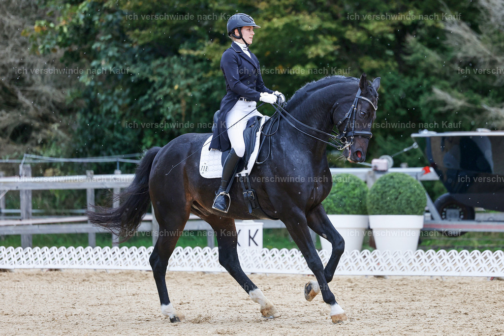 8_1-118-Klasse S_  -StoibPH-3901 | working equitationturnier fotograf videograf stoibphotography marixx film working equitation deutschland reitsport turnierfotografie eventfotografie equestrian events