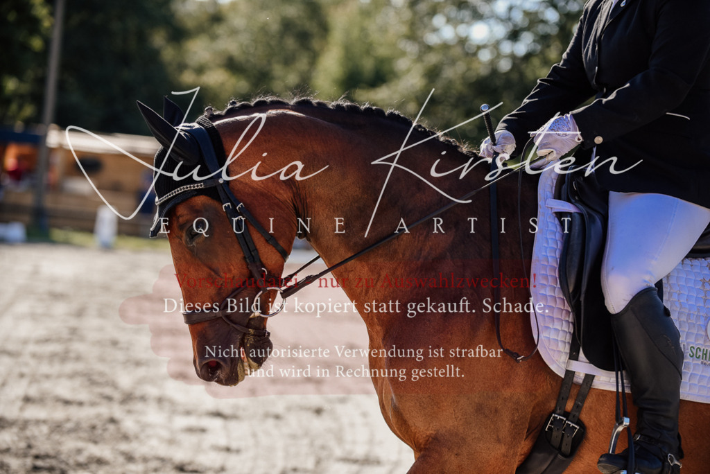 DSC_0366 | Pferde- und Turnierfotografie in Westsachsen. Pferdeportraits, Auftragszeichnungen und intuitive Kunst.