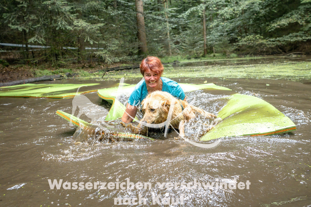 1521_ZZ90361-Bearbeitet | kk-dogfotos
