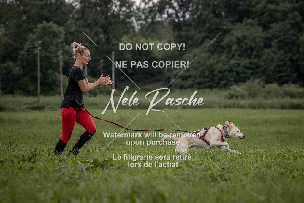 nelerasche_DoN_170 | nelerasche