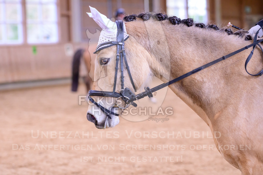 11042026-Mammendorf-Prfg25-0252 | Fokus Hufschlag Fotografie - Realisiert mit Pictrs.com