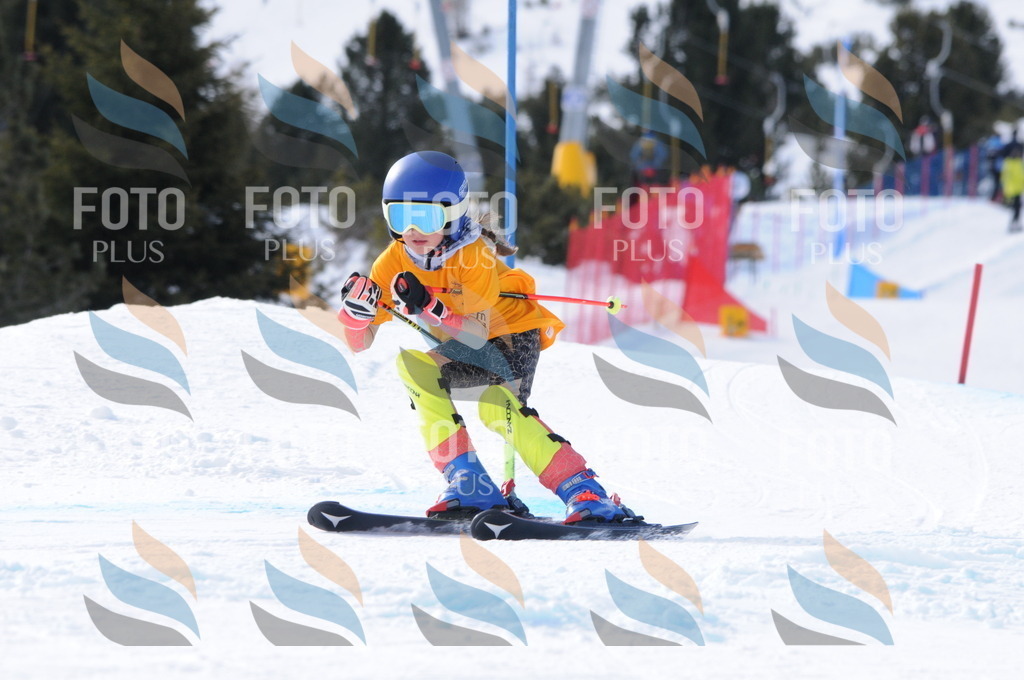 C7302 | holidayphoto