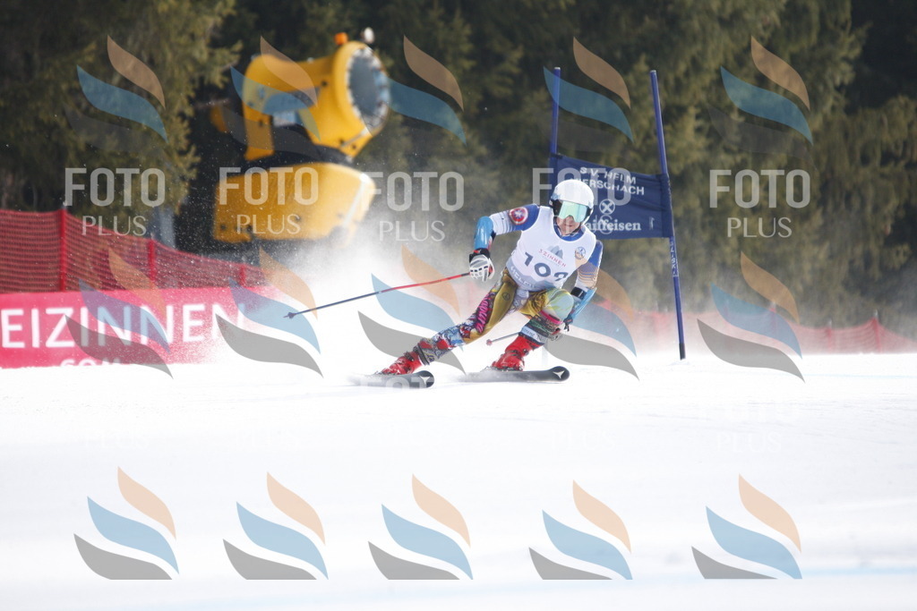 D6503 | holidayphoto