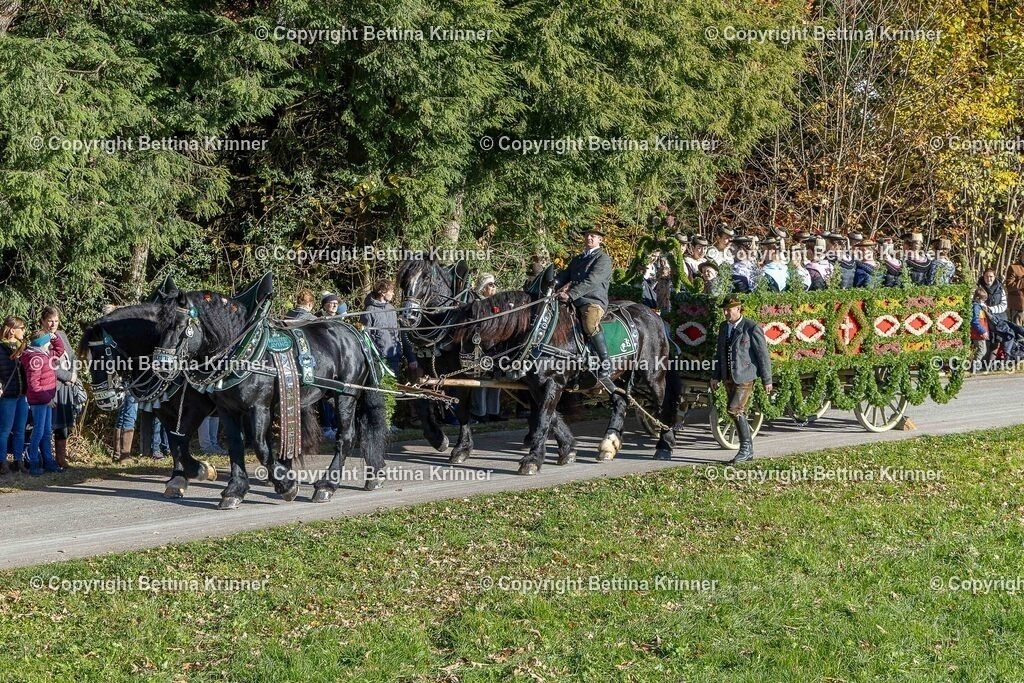 LBT25-303 | foto-bettina-krinner - Realisiert mit Pictrs.com