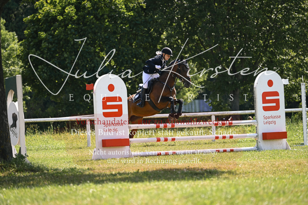 DSC_8913 | Pferde- und Turnierfotografie in Westsachsen. Pferdeportraits, Auftragszeichnungen und intuitive Kunst.