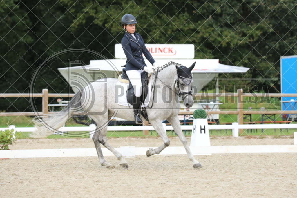 IMG_3719 | photographesa-joergens - Realisiert mit Pictrs.com