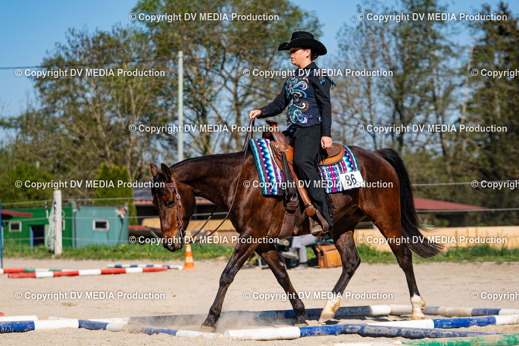 Balingen Tag 1-747 | dv-media-shop - Realisiert mit Pictrs.com