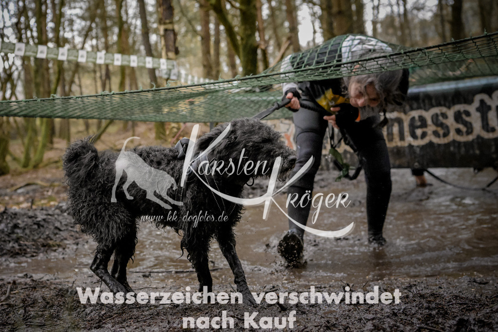 1007_ZZ99691 | kk-dogfotos
