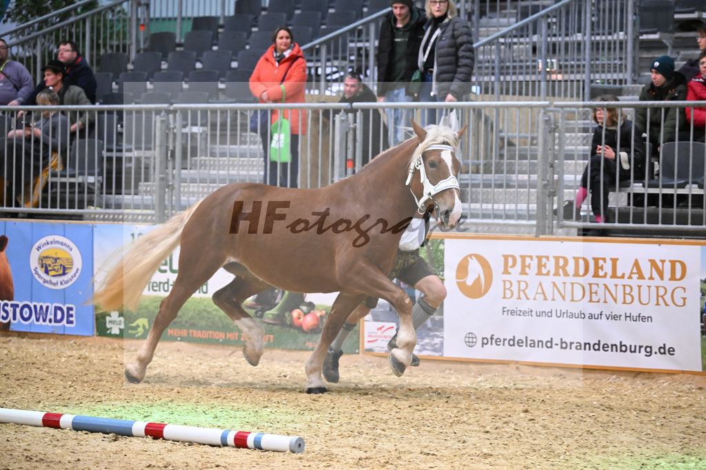 Kat-Nr. 39 Uljana v. Venturin_Nowak_1260571 | hf-fotografie - Realisiert mit Pictrs.com