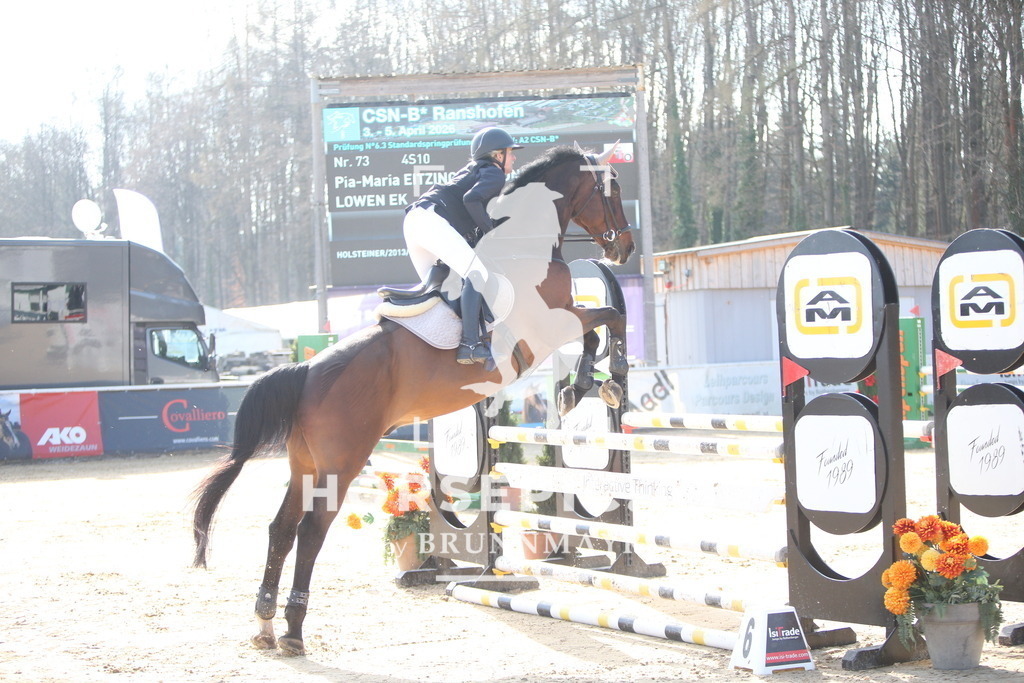 AS8V5565 | Willkommen bei Brunnmayr - Design & Fotografie – Ihrem Spezialisten für Reitturniere und Pferdeveranstaltungen in Oberösterreich, Salzburg und Bayern! Seit über 17 Jahren sind wir leidenschaftlich dabei.