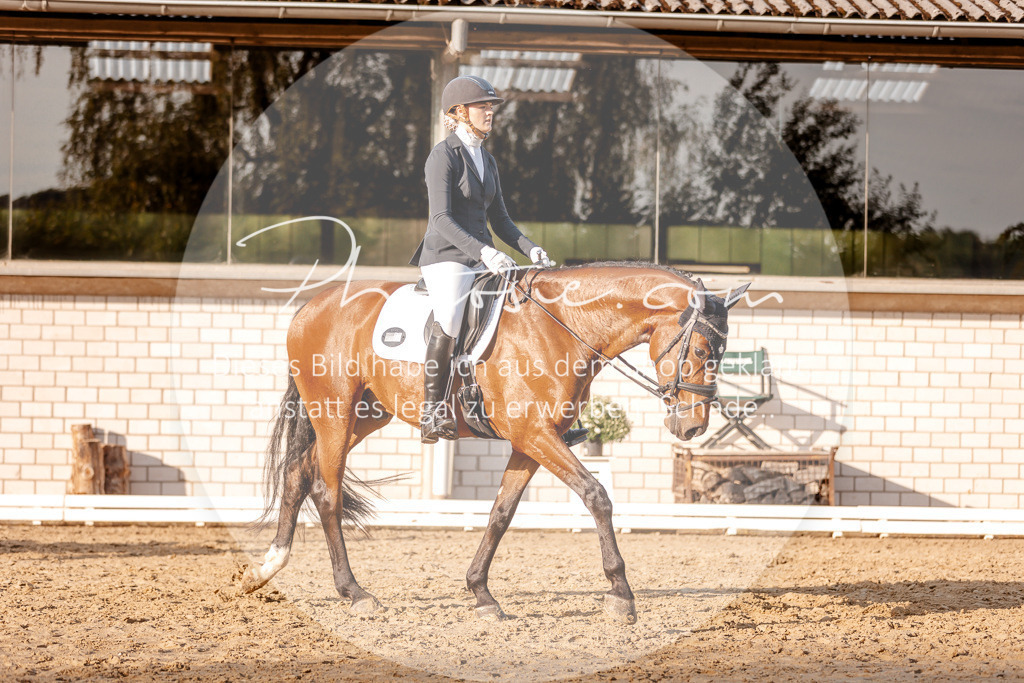 3I6A2392 | Stimmungsvolle Portraits und Reitsportfotografie im Ruhrgebiet und im Münsterland.

Pferdefotografie, Hundefotografie, Tierfotografie, Reportagen, Portraits von Tier und Mensch, Turnierfotografie in Bochum, Recklinghausen, Marl, Haltern am See, Dülmen.. - Realisiert mit Pictrs.com