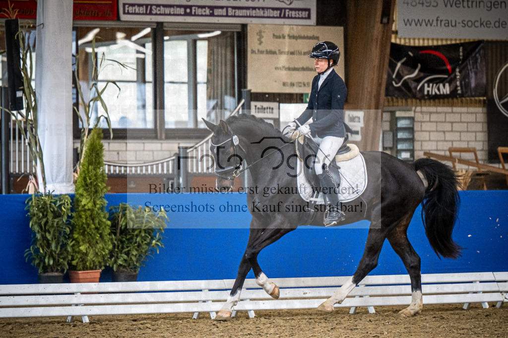 DOS_0814 | Entdecke hochwertige Reitturnierfotos von Foto Oger. Professionell, emotional und authentisch – jetzt Lieblingsmomente im Shop bestellen.Deutschlandweite Turnierfotografie. - Realisiert mit Pictrs.com