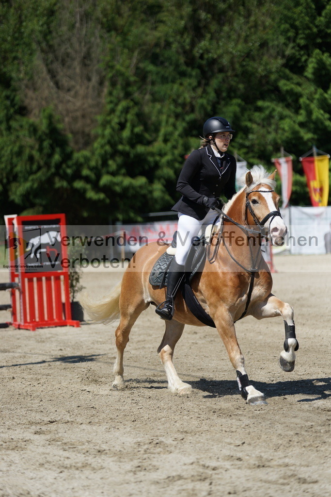 DSC06266 | equestrian-live-com