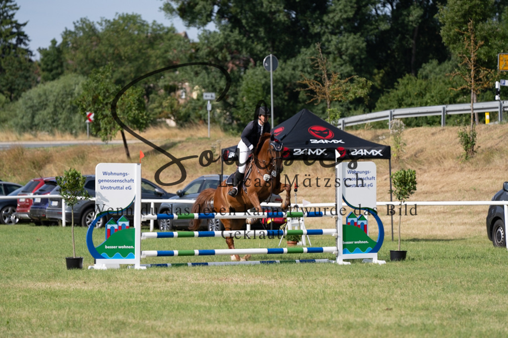 A7V01475 | Pferdefotograf