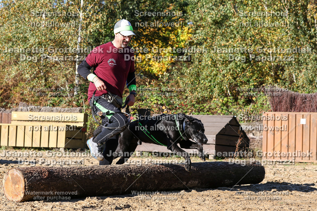 Dog Paparazzi - Strongdog 10-25-1914 | Dog Paparazzi Jeanette Grottendiek Fotografie & Videografie - Realisiert mit Pictrs.com