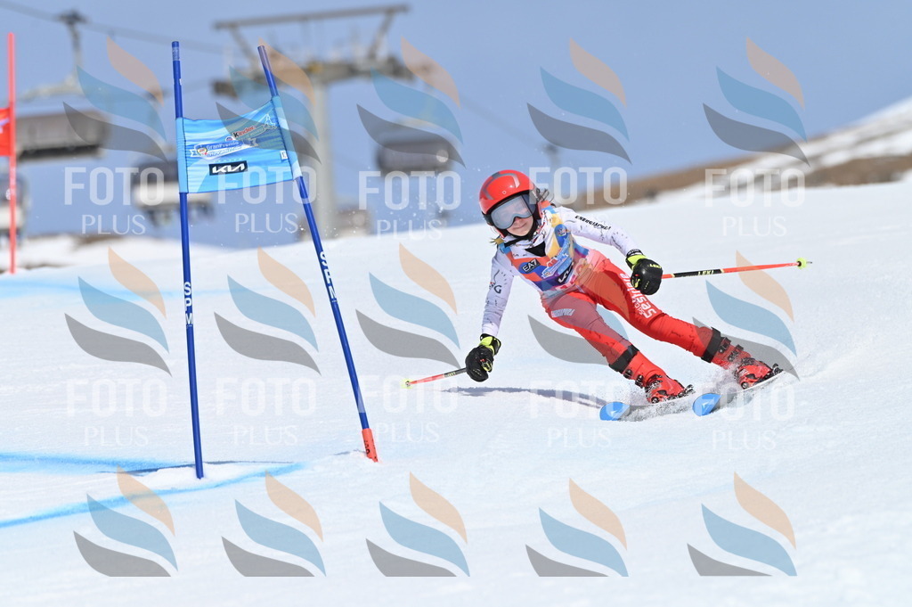 BGV_0045 | holidayphoto