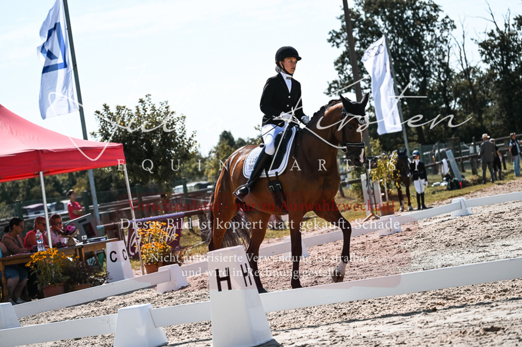 DSC_5063 | Pferde- und Turnierfotografie in Westsachsen. Pferdeportraits, Auftragszeichnungen und intuitive Kunst.