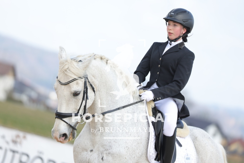 0P6A6517 | Willkommen bei Brunnmayr - Design & Fotografie – Ihrem Spezialisten für Reitturniere und Pferdeveranstaltungen in Oberösterreich, Salzburg und Bayern! Seit über 17 Jahren sind wir leidenschaftlich dabei.