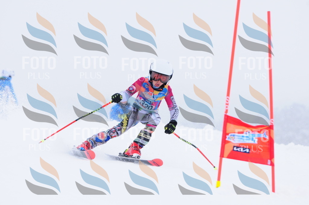 C3398 | holidayphoto