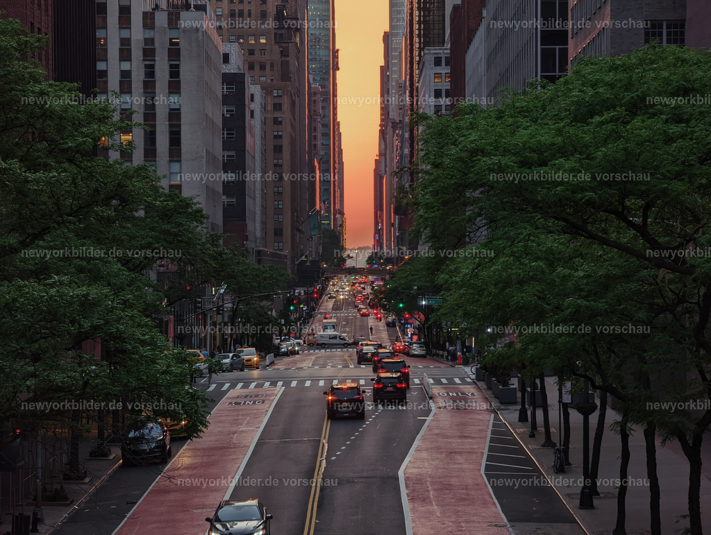 Sonnenuntergang von der Tudor City Bridge – magisches Licht über Midtown Manhattan | Die Sonne sinkt langsam hinter den Horizont und verwandelt die Straßen von Midtown Manhattan in ein glühendes Band aus Licht. Von der Tudor City Bridge aus wirkt die Szene wie gemalt: Magisches Gelb und Rot, Midtown im Abendglanz und die Wärme eines Sommerabends, der die Stadt in pure Schönheit taucht.