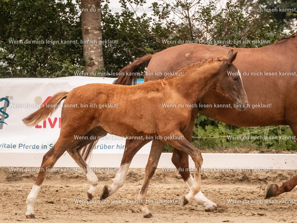 A10I2135 15.54.45 | photographylinaismer - Realisiert mit Pictrs.com