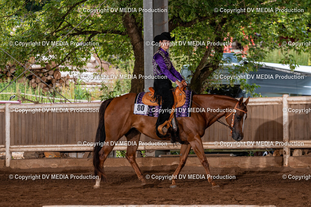 Erbach Tag 2-321 | dv-media-shop - Realisiert mit Pictrs.com