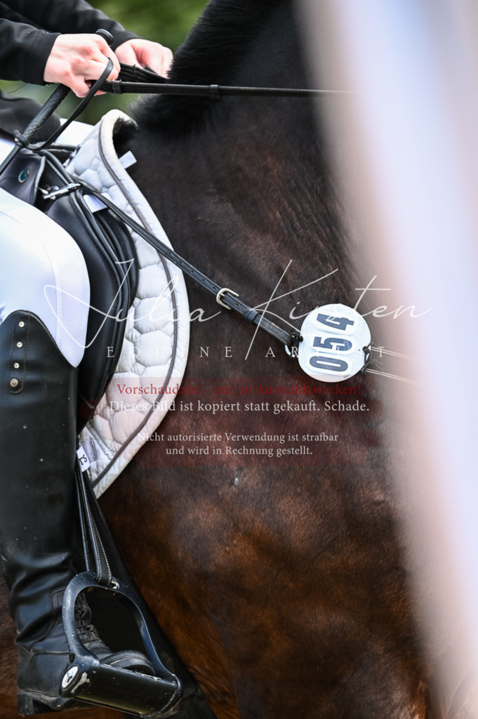 DSC_8431 | Pferde- und Turnierfotografie in Westsachsen. Pferdeportraits, Auftragszeichnungen und intuitive Kunst.