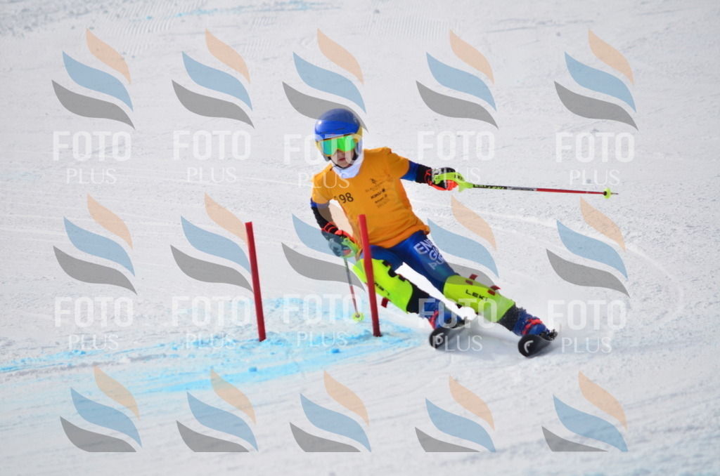 C8101 | holidayphoto