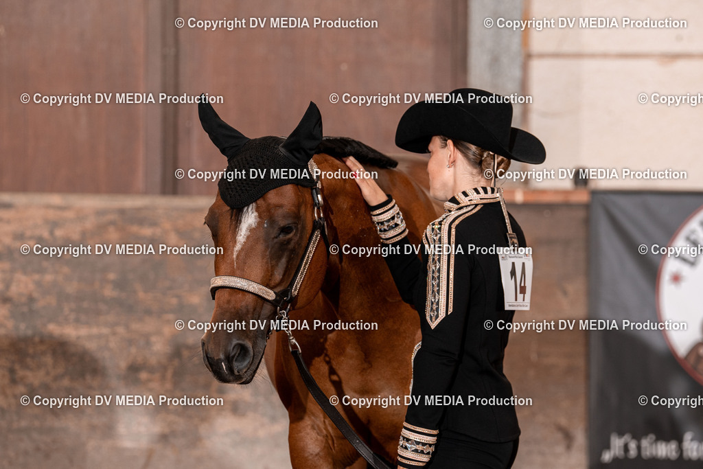 LM Heiligenwald Tag 1-388 | dv-media-shop - Realisiert mit Pictrs.com