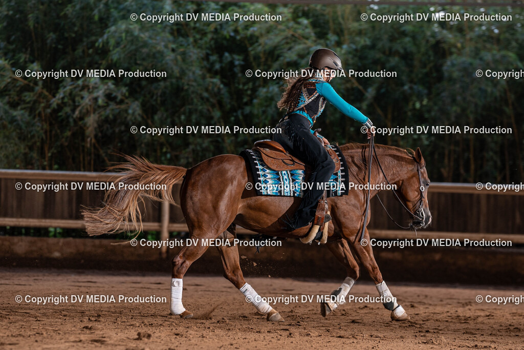 Erbach Tag 2-948 | dv-media-shop - Realisiert mit Pictrs.com