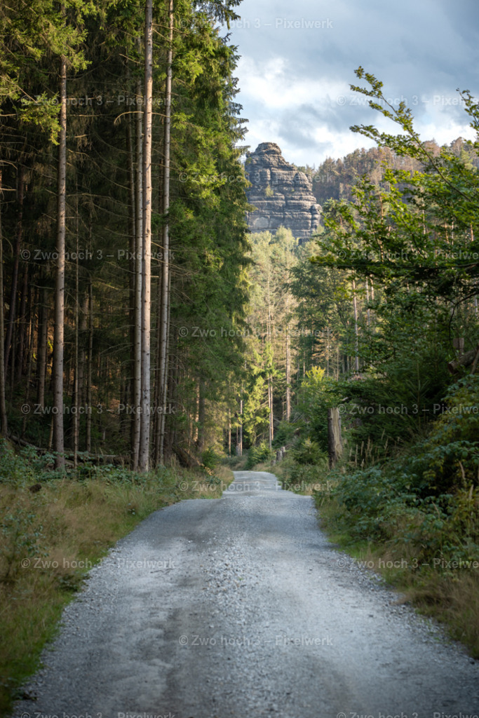 Zeughausstrasse_Pechofenhorn_Wald_Waldweg_Felsen | 2022-08-30_Waldbrandgebiete_1 - Realisiert mit Pictrs.com